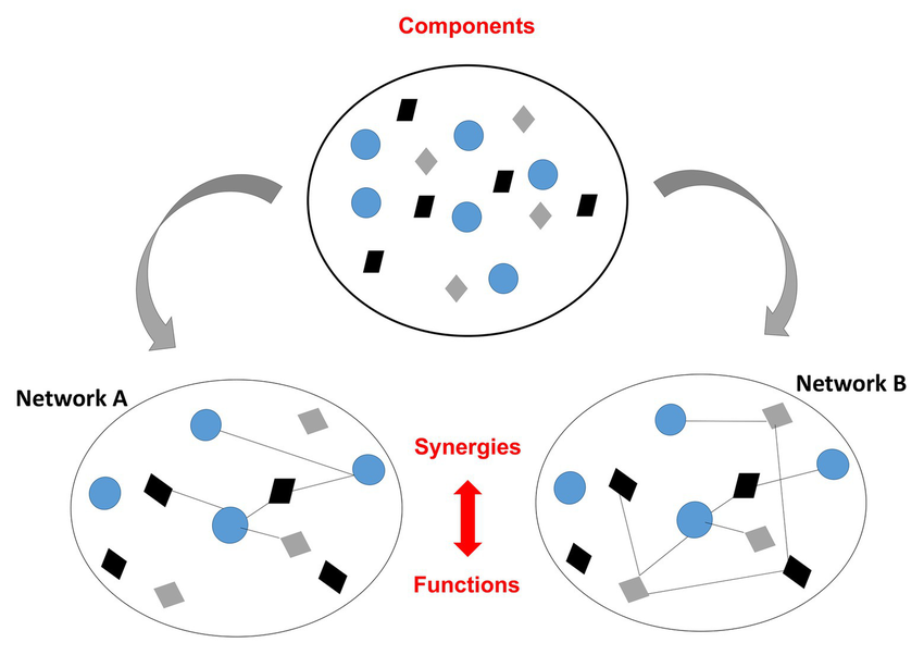 Formation of synergies across levels to satisfy task goals during exercise.